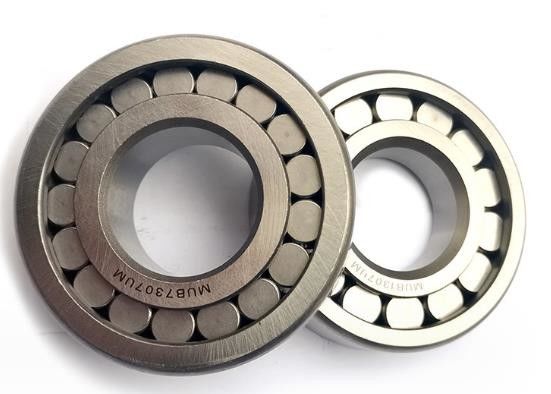 Separable Cylindrical Roller Bearing P4 Precision Practical Double Row