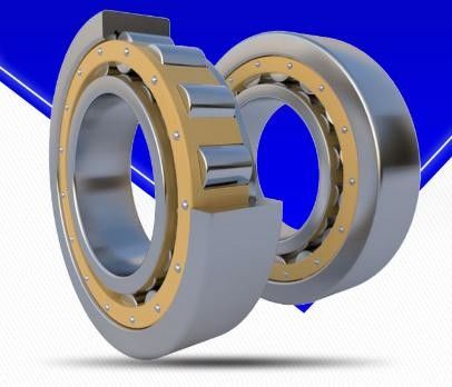 P2 Precision Cylindrical Roller Bearing Double Row With Open Seals
